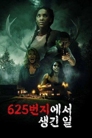 625번지에서 생긴 일