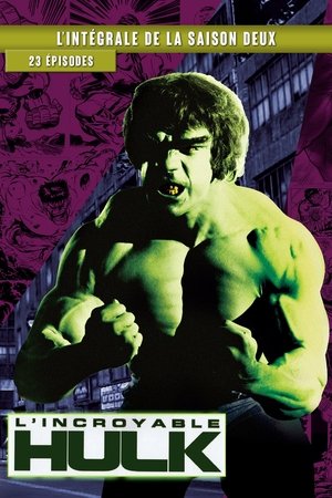 L'Incroyable Hulk