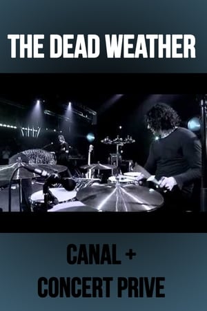 The Dead Weather: Live at Concert Prive, Canal +