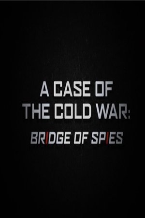 A Case of the Cold War: Bridge of Spies