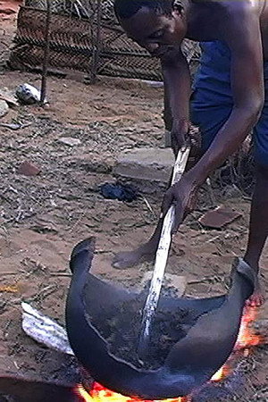 African Herbsmen: Healing and Religion along the Bight of Benin