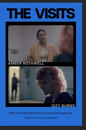 The Visits poster