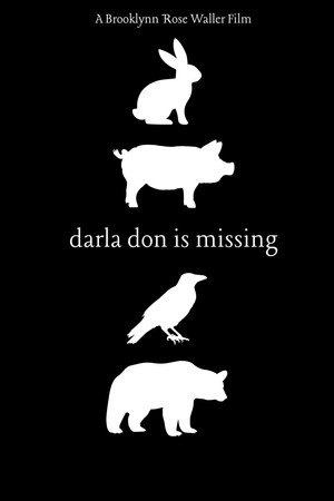 Darla Don is Missing poster