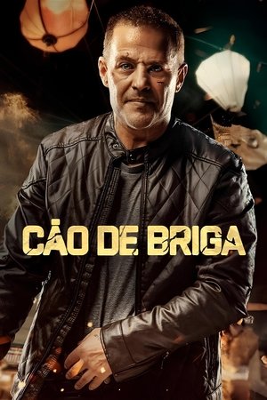 Imagem Cão de Briga 