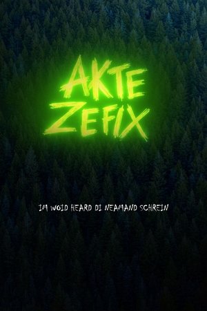 Akte Zefix