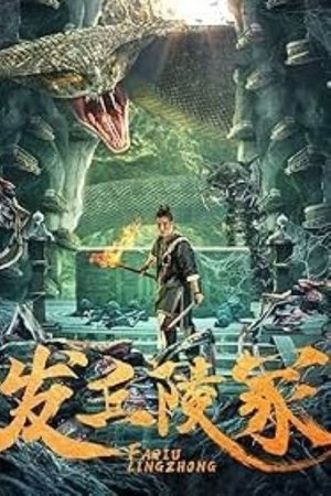 Poster of The Dragon's Tomb