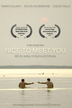Nice to Meet You