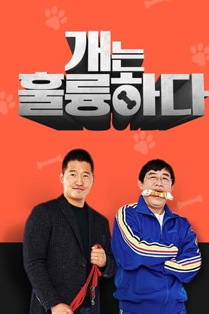 개는 훌륭하다