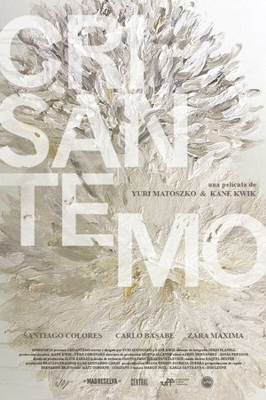 Crisantemo