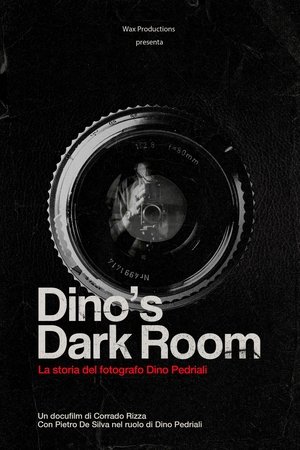 Dino's dark room