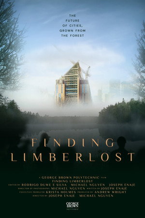 Finding Limberlost poster