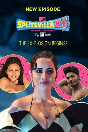 MTV Splitsvilla