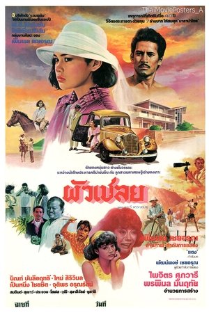 ผัวเชลย