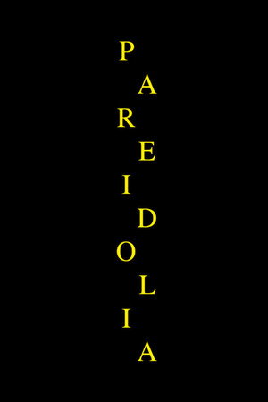 Pareidolia poster