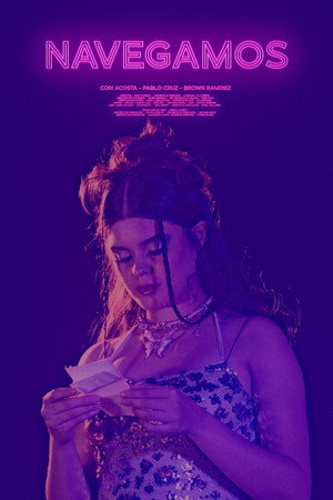 Navegamos poster