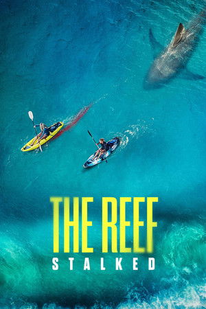 Poster of The Reef: Stalked