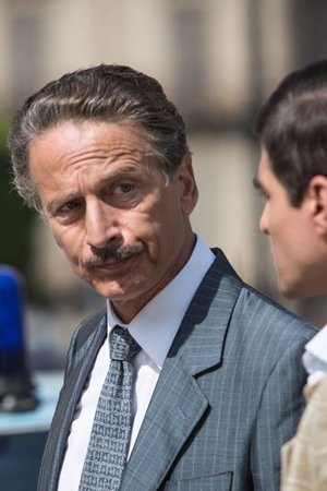 Paolo Borsellino. Adesso tocca a me Movie Overview