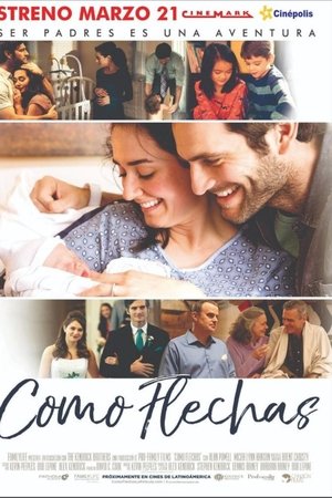 Poster of Como Flechas