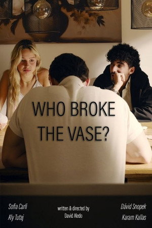 Who broke the vase?