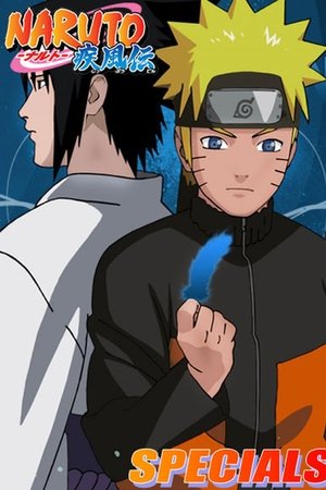 Naruto Shippuden