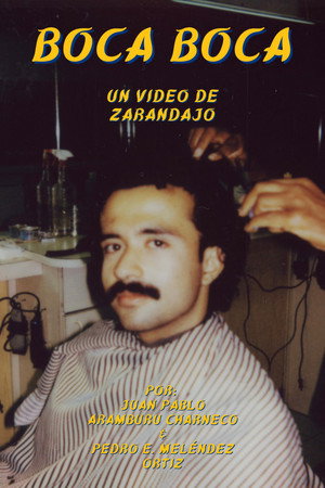 Boca Boca poster