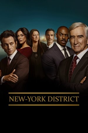 New York District / New York Police Judiciaire