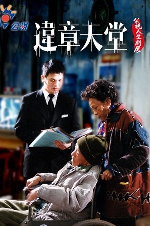 違章天堂