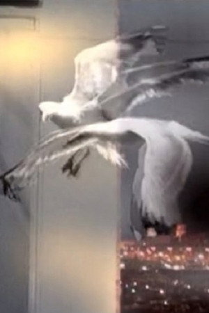 Entrer Dans Le Rêve poster