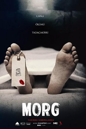 Morg