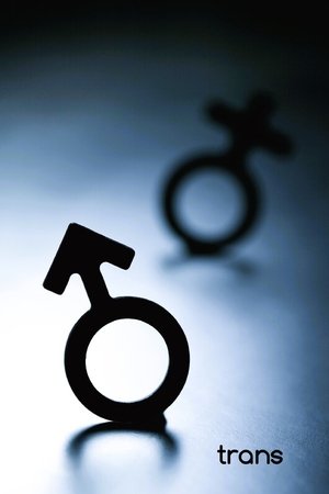 Poster of Trans