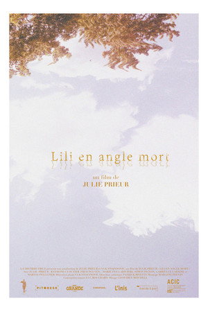 Lili's Blind Spot poster