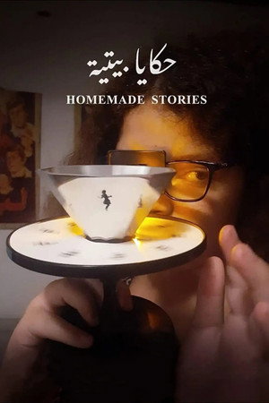 Homemade Stories poster