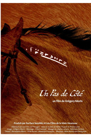 Un Pas De Côté poster
