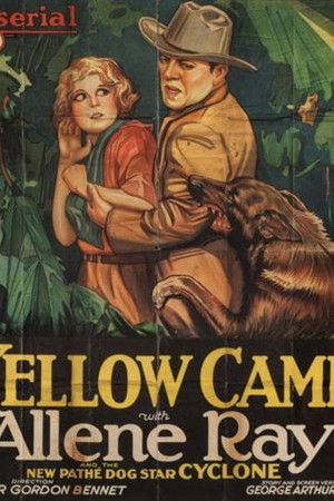The Yellow Cameo