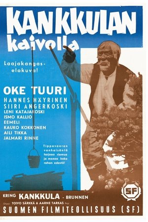 Kankkulan kaivolla