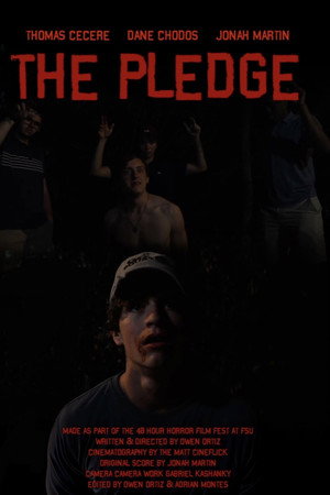 The Pledge poster