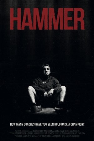 Hammer