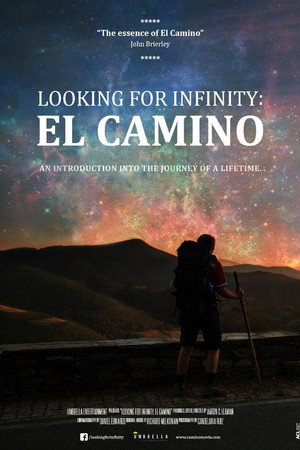 Looking for Infinity: El Camino poster