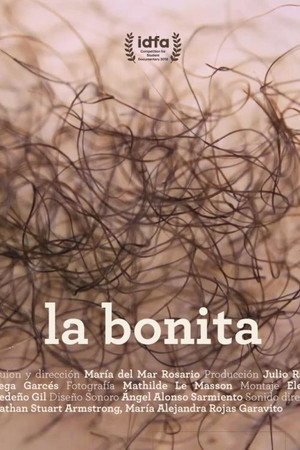 La bonita poster