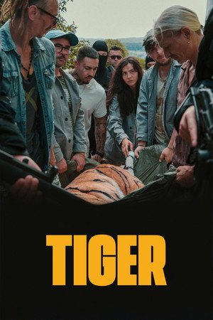 Tigru Tigru