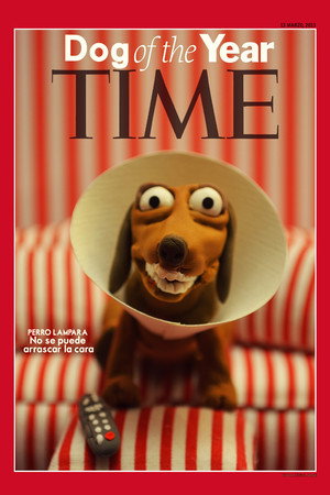 Perro Lámpara poster