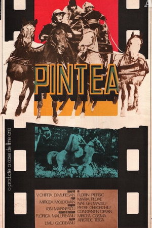 Pintea
