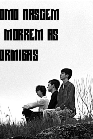 Como Nascem e Morrem as Formigas