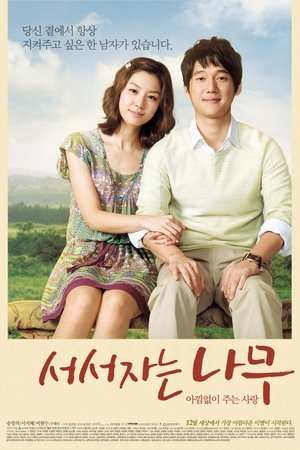 서서 자는 나무