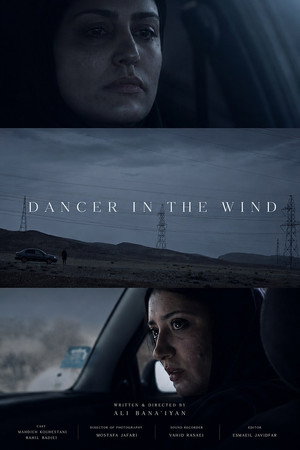Dancer In The Wind poster