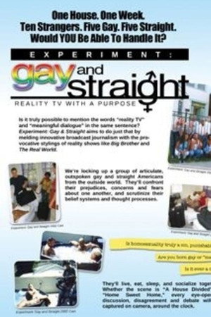 The Experiment: Gay & Straight poster