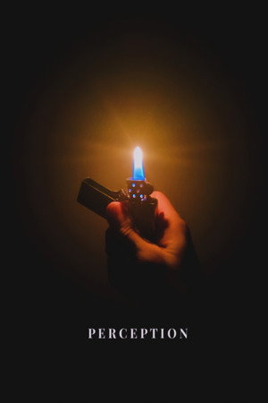 Perception Perception