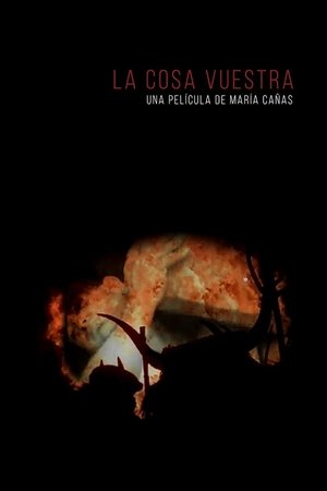 Poster of La cosa vuestra