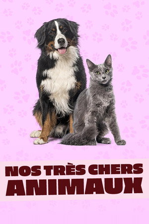 Nos très chers animaux