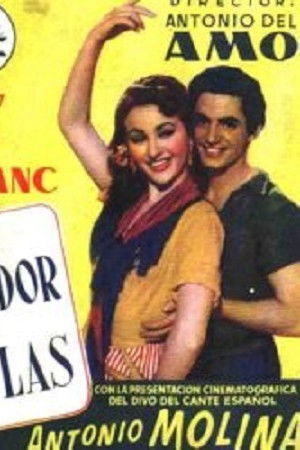 Iwkydisodneh9t0gtn5oygdsmm8